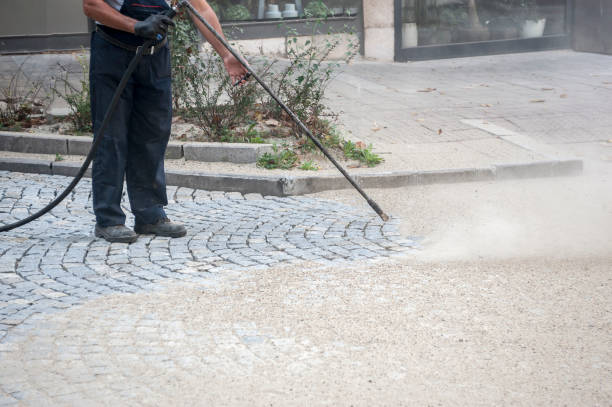 Best Oil Spill Cleanup  in Pine Hills, FL